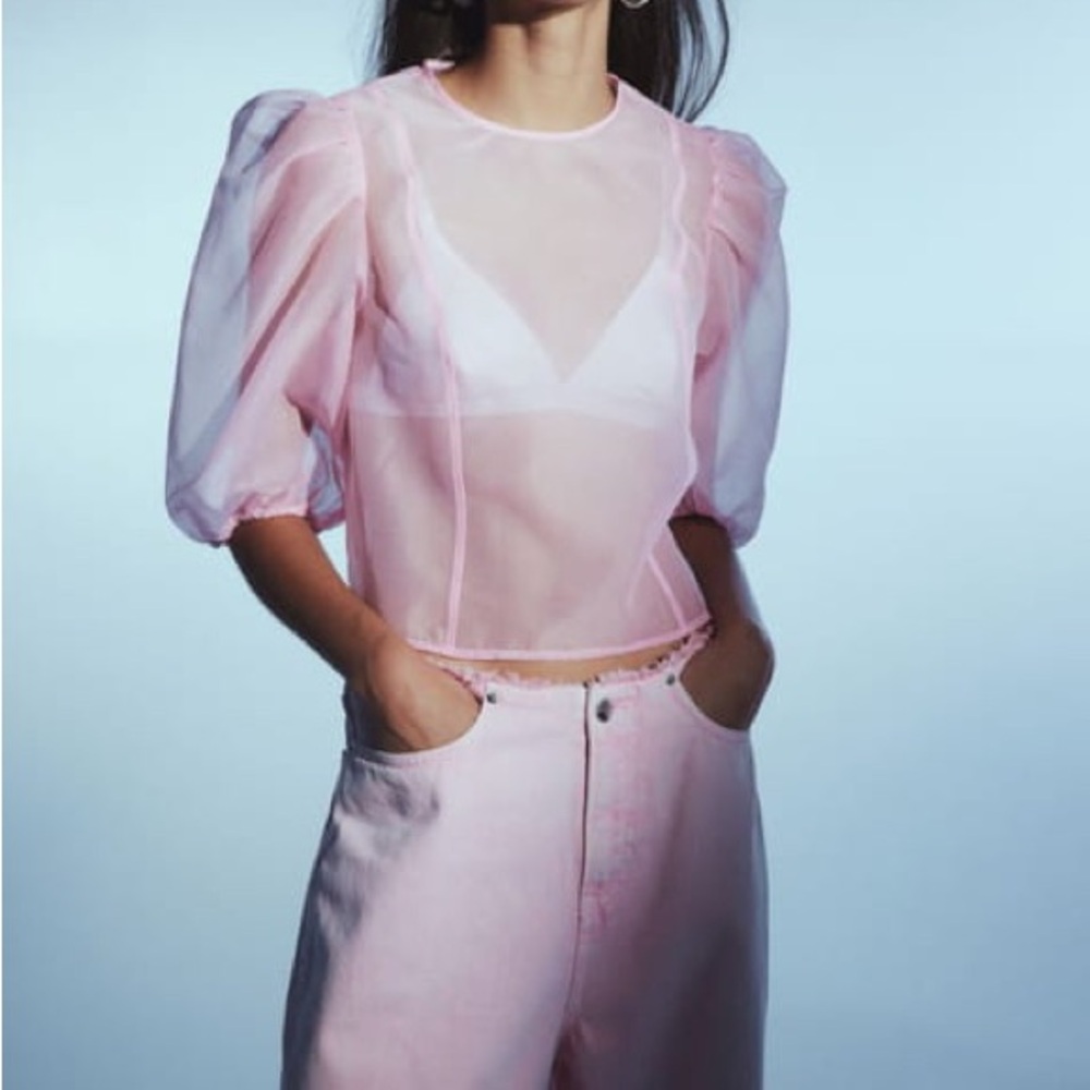 Divided Light Pink Sheer Blouse with Puff Sleeves